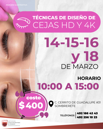 FLYERS-CURSOS-2024 (3)