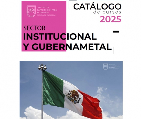 C. INSTITUCIONAL Y GUBERNAMENTAL