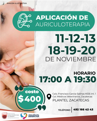 AURICULOTERAPIA AURICULOTERAPIA