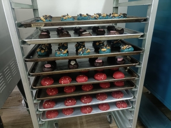 WhatsApp Image 2025-07-21 at 8.03.40 AM (1) WhatsApp Image 2025-07-21 at 8.03.40 AM (1)