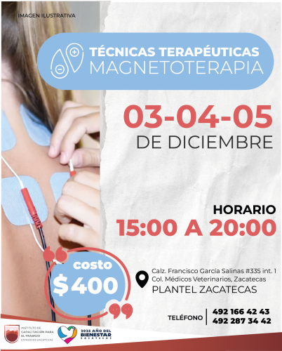 MAGNETOTERAPIA MAGNETOTERAPIA