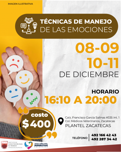 TÉCNICAS DE MANEJO DE LAS EMOCIONES TÉCNICAS DE MANEJO DE LAS EMOCIONES