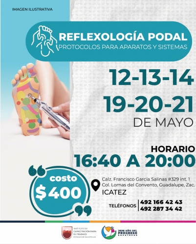 REFLEXOLOGÍA-PROTOCOLOS