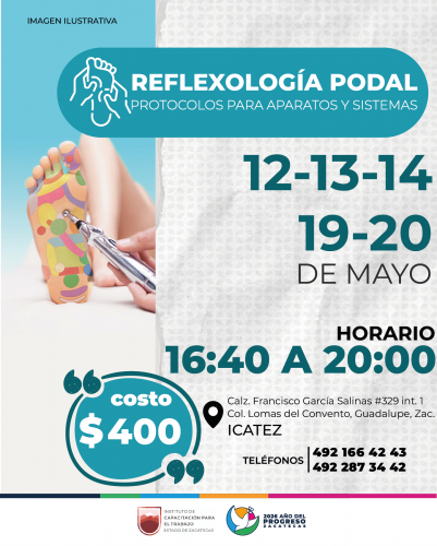 REFLEXOLOGÍA-PROTOCOLOS REFLEXOLOGÍA-PROTOCOLOS