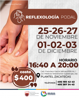 REFLEXOLOGÍA PODAL BÁSICO NOVIEMBRE
