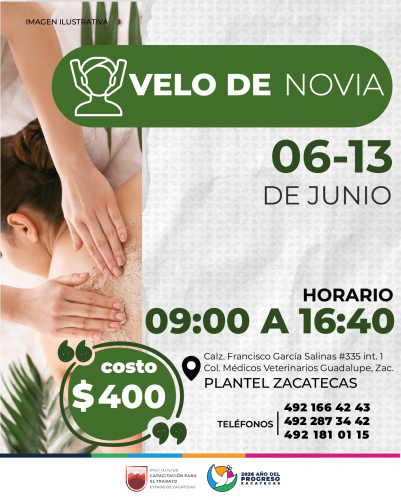 VELO DE NOVIA JUNIO VELO DE NOVIA JUNIO