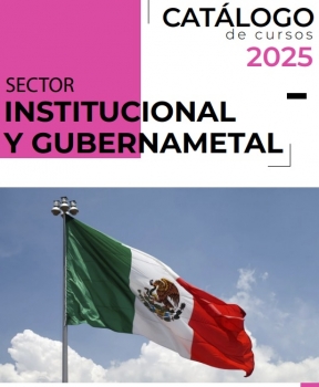 C. INSTITUCIONAL Y GUBERNAMENTAL