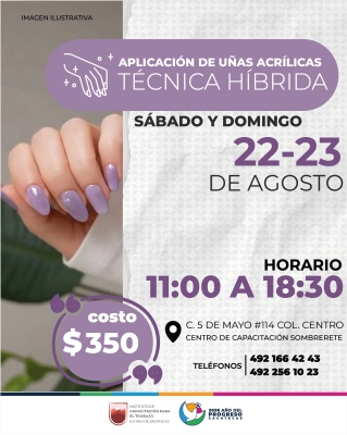 TÉCNICA HIBRIDA-AGOSTO